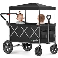 GVDV Collapsible Double Stroller Wagon for Kids 3-In-1 Design with Pull & Push Handle