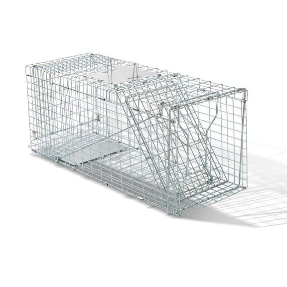 GVN 32" Live Animal Cage Trap, Heavy Duty Folding Raccoon Trap, Humane Cat Trap with Handle for Rabbits, Stray Cats, Squirrels, Raccoons