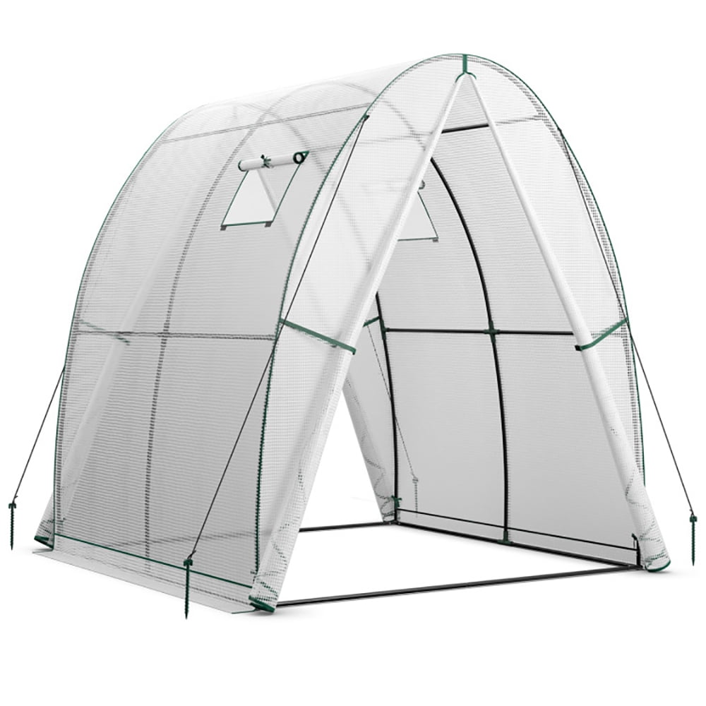 GVN 6 x 6 x 6.6 FT Outdoor Wall-in Tunnel Greenhouse-White, Walk-in Green House, Portable Greenhouse with Shelves for Planting and Storage GVN 6 x 6 x 6.6 FT Outdoor Wall-in Tunnel Greenhouse-White, Walk-in Green House, Portable Greenhouse with Shelves for Planting and Storage