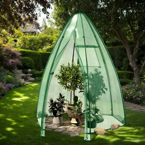 GVN Walk-in Green House, Greenhouse for Planting and Storage,5.5 x 5.5 x 6 Feet Portable Mini Greenhouse with All-Weather PE Cover