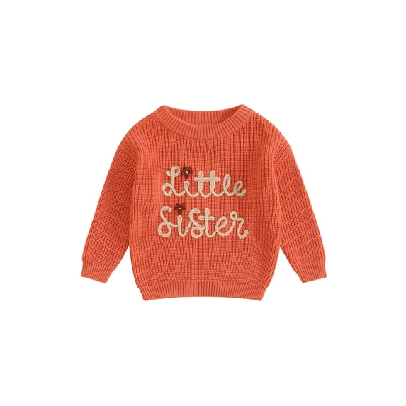 GXFC Little Girls Sister Matching Sweaters 0 3M 6M 9M 12M 18M Toddler Baby Long Sleeve Knitted Pullovers Letter Floral Embroidery Crew Neck Sweatshirt Cozy Comfy Warm Clothes for Spring Fall