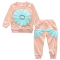 thumbnail image 1 of GXWEA 2T Winter Clothes Girl Toddler Girl Clothes Toddler Girl Clothes Fall Outfits Long Sleeve Sweatshirt Tops + Pants Set Pink 18-24 Months, 1 of 7