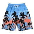 thumbnail image 1 of GXWEA 5T Shorts Boys Boys Swimsuits Boys Swim Trunks Soft Boxers Lined Swimsuit Bathing Shorts Upf 50+ Functional Drawstring, 1 of 7