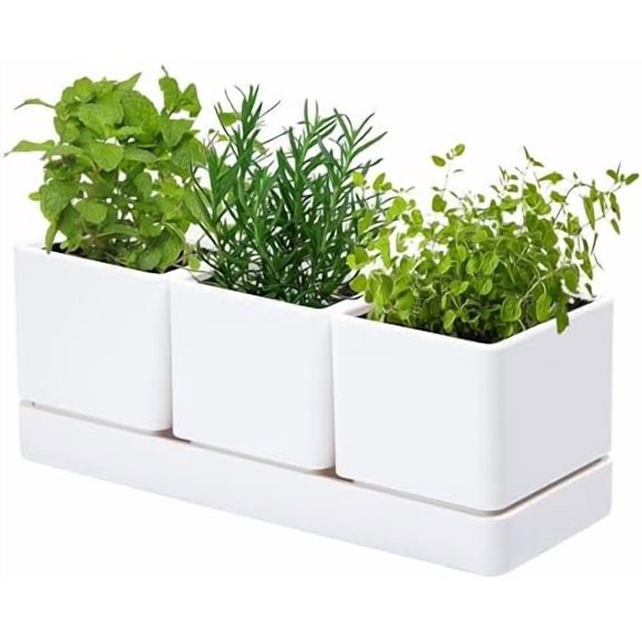 GYA Herb Garden Planter Set, Plastic Plant Pots with Drainage and Saucer, Indoor Succulent Cactus Vegetable Pot for Windowsill, Garden Balcony, White, Set of 1, 76-V-A-1