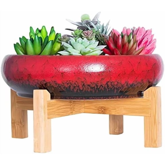 GYA Succulent Pots - 10 Inch Ceramic Bonsai Pots with Drainage Stand, Large Shallow Planters for Indoor Plants Decorative Garden Cactus Flower Plant Container Bowl