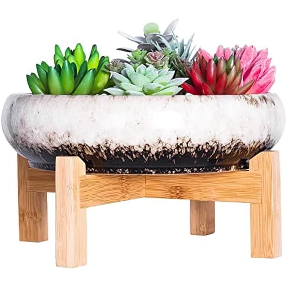 GYA Succulent Pots - 10 Inch Large Ceramic Bonsai Pots with Drainage Stand for Indoor Plants Shallow Planters Decorative Cactus Flower Plant Container Bowl