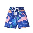 thumbnail image 1 of GYRATEDREAM Boys Swim Trunks Kids Quick Dry Bathing Suits Swimsuit Dinosaur Print Swim Shorts Swimwear for 6 Months-4 Years, 1 of 1