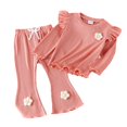 thumbnail image 1 of GYRATEDREAM Infant Baby Girls Fall Winter Outfits Toddler Ruffle Long Sleeve Crewneck Floral Decoration Sweatshirt Pullover Top + Solid Color Flare Pants 2Pcs Clothing Set for 6 Months-3 Years Pink, 1 of 8