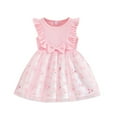 thumbnail image 1 of GYRATEDREAM Toddler Baby Girls Cute Tulle Tutu Dress Ribbed Ruffle Sleeveless Print Sundress Kids Birthday Party Holiday Princess Dress Spring Summer Clothes for 12M-6T Pink, 1 of 6