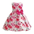 thumbnail image 1 of GYRATEDREAM Toddler Baby Girls Rose Print Princess Dress Kids Sleeveless Elastic Waist Party Formal Dress with Bow for 2-10 Years, 1 of 1