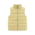 thumbnail image 1 of GYRATEDREAM Toddler Boys Girls Light Weight Down Vest, Baby Solid Color Lightweight Stand Collar Sleeveless Jacket, Kids Zip up Puffer Down Vest for 1-16 Years, 1 of 8
