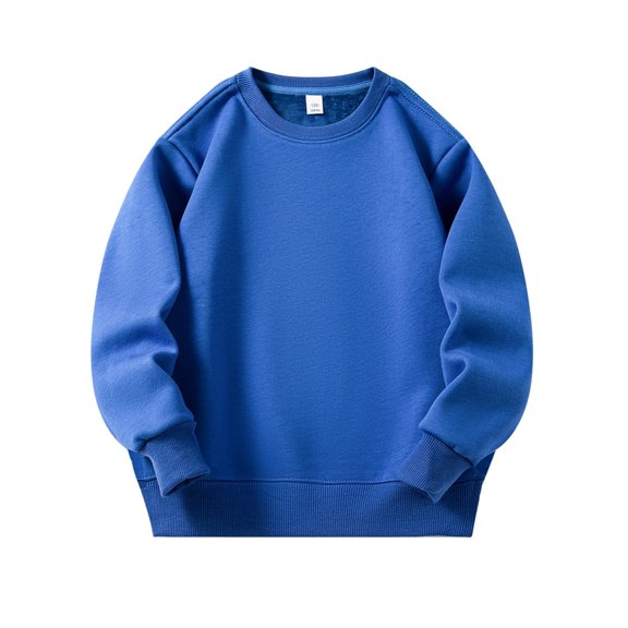 GYRATEDREAM Toddler Boys Girls Solid Pullovers Sweatshirt Long Sleeve T-Shirt Kids Cotton Crewneck Warm Tops Blouse for 2-3Y Blue