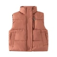 thumbnail image 1 of GYRATEDREAM Toddler Boys Girls Zip up Puffer Vest Baby Stand Collar Quilted Gilet Sleeveless Jackets Outwear with Pockets Kids Fall Winter Warm Down Waistcoat Brick Red for 3-10Y, 1 of 2