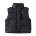 thumbnail image 1 of GYRATEDREAM Toddler Boys Girls Zip up Puffer Vest Baby Stand Collar Quilted Gilet Sleeveless Jackets Outwear with Pockets Kids Fall Winter Warm Down Waistcoat Black for 3-10 Years, 1 of 2
