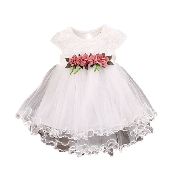GYRATEDREAM Toddler Girls Princess Dress Lace Floral Print Dress Crew Neck Tutu Tulle Skirt Summer Dresses for 6M