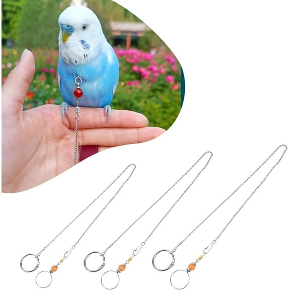 GYTY 3-Pack Bird Harness Collar Set Stainless Steel with Training Rope - Suitable for Small Medium Peony Sun Conure Lovebird Budgie Cockatiel Pigeon (Medium)