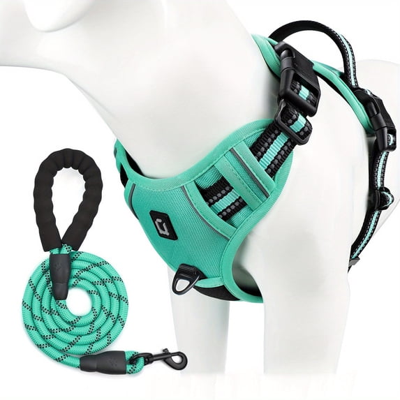 GYTY 5 Feet Escape Proof No Pull Dog Harness and Leash Combo - Basic Halter Harnesses with Reflective Adjustable Soft Padded Vest, Handle for Small to Large Dogs