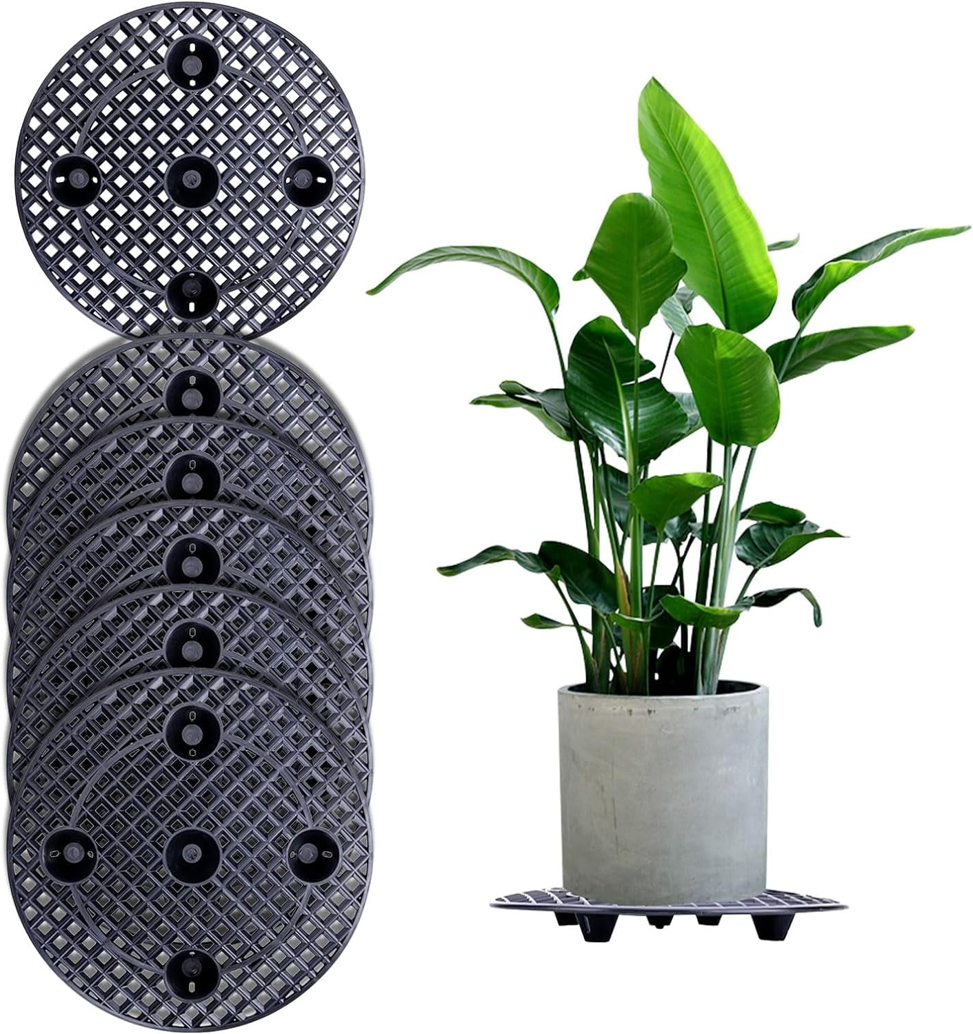 GYTY 6 Pcs Plant Level Pot Elevator, 11.8 Inch Plant Stands Outdoor ...