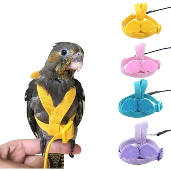 GYTY Bird Harness Parrot Leash -Adjustable Outdoor Flying Kit for Parrot Budgie Lovebird Cockatiel Macaw Parakeet (Purple,M)