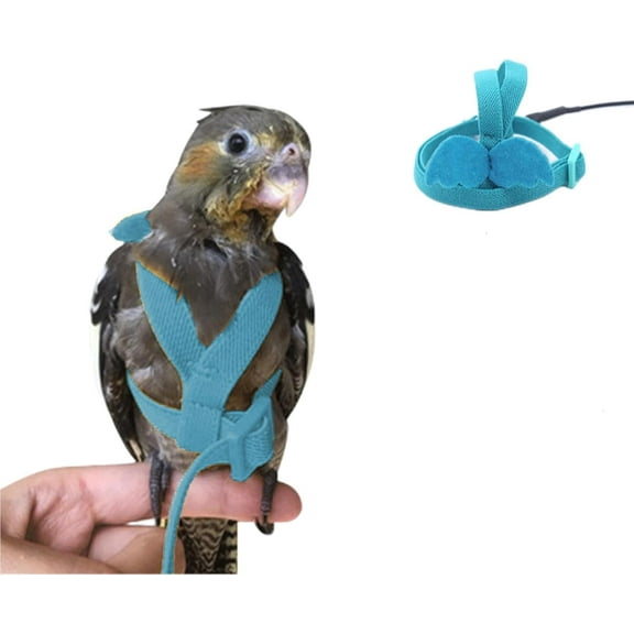 GYTY Bird Harness Parrot Leash -Adjustable Outdoor Flying Kit for Parrot Budgie Lovebird Cockatiel Macaw Parakeet (Purple,M)