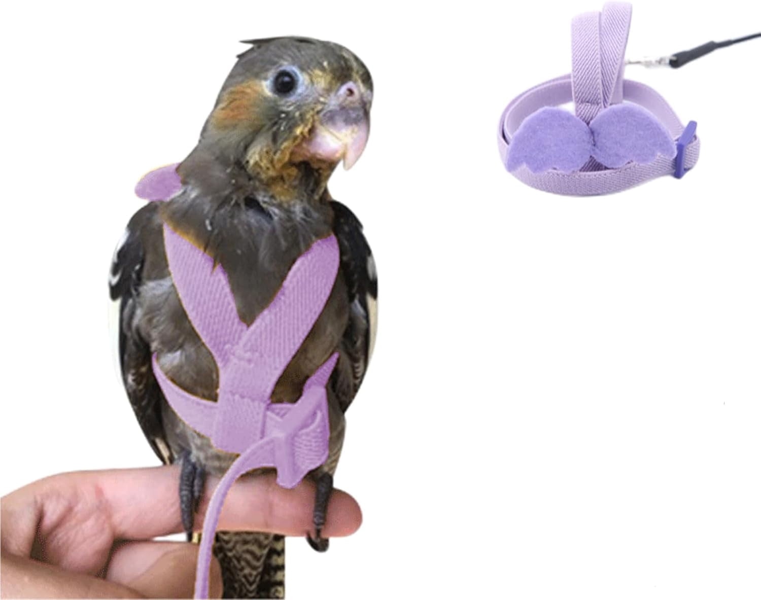 Stunning Macaw Mini Habitat Kits image