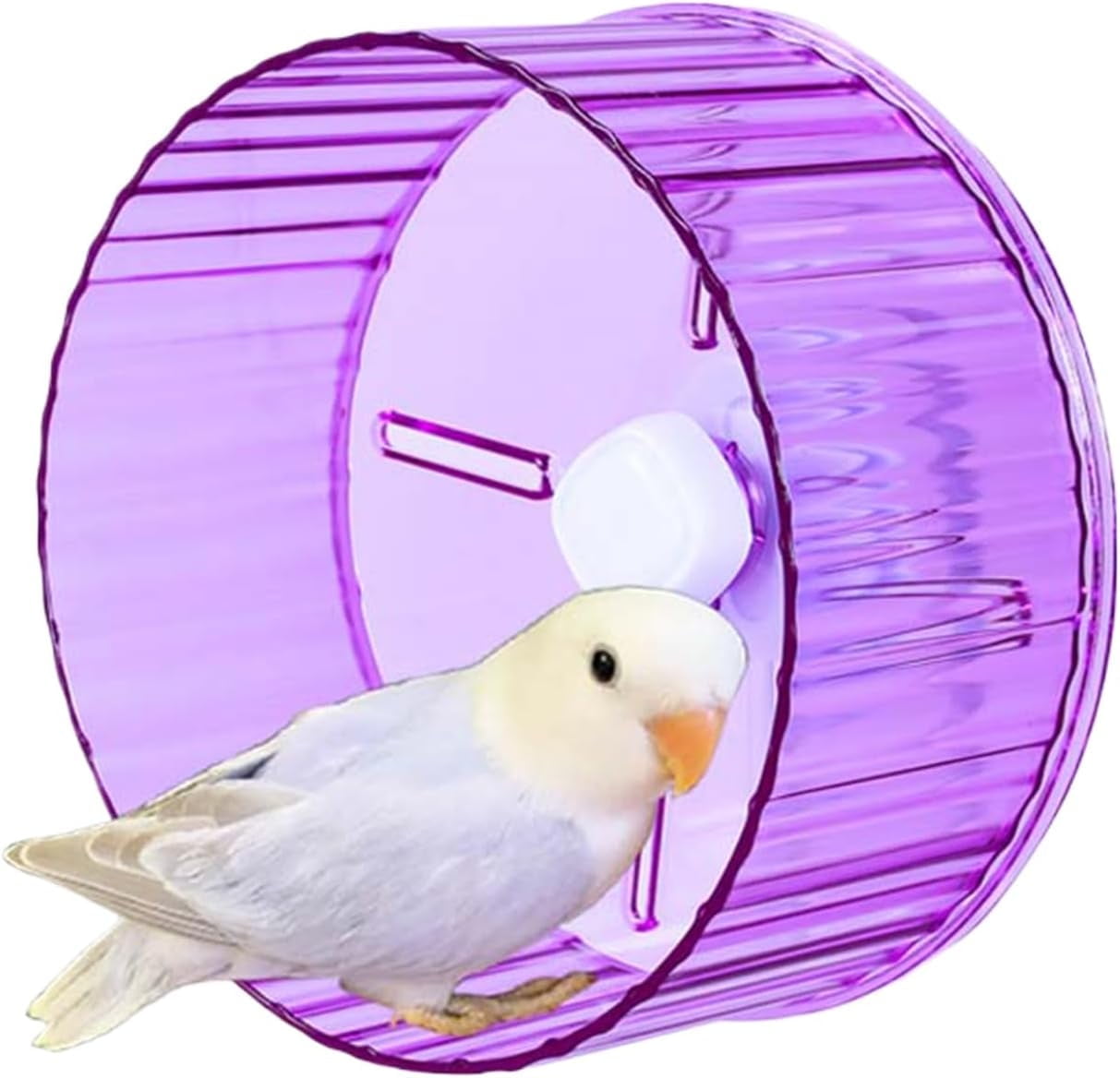GYTY Bird Wheel Toy, Silent Parrot Exercise Wheel Interactive Rotating Toy for Small Medium Birds - Parakeets Cockatiels Conures Lovebirds Finches - Bird Cage Enrichment Accessory (S (6.7''D),Clear)