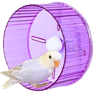 A closer look at Overhead Bird Wheel Exercise