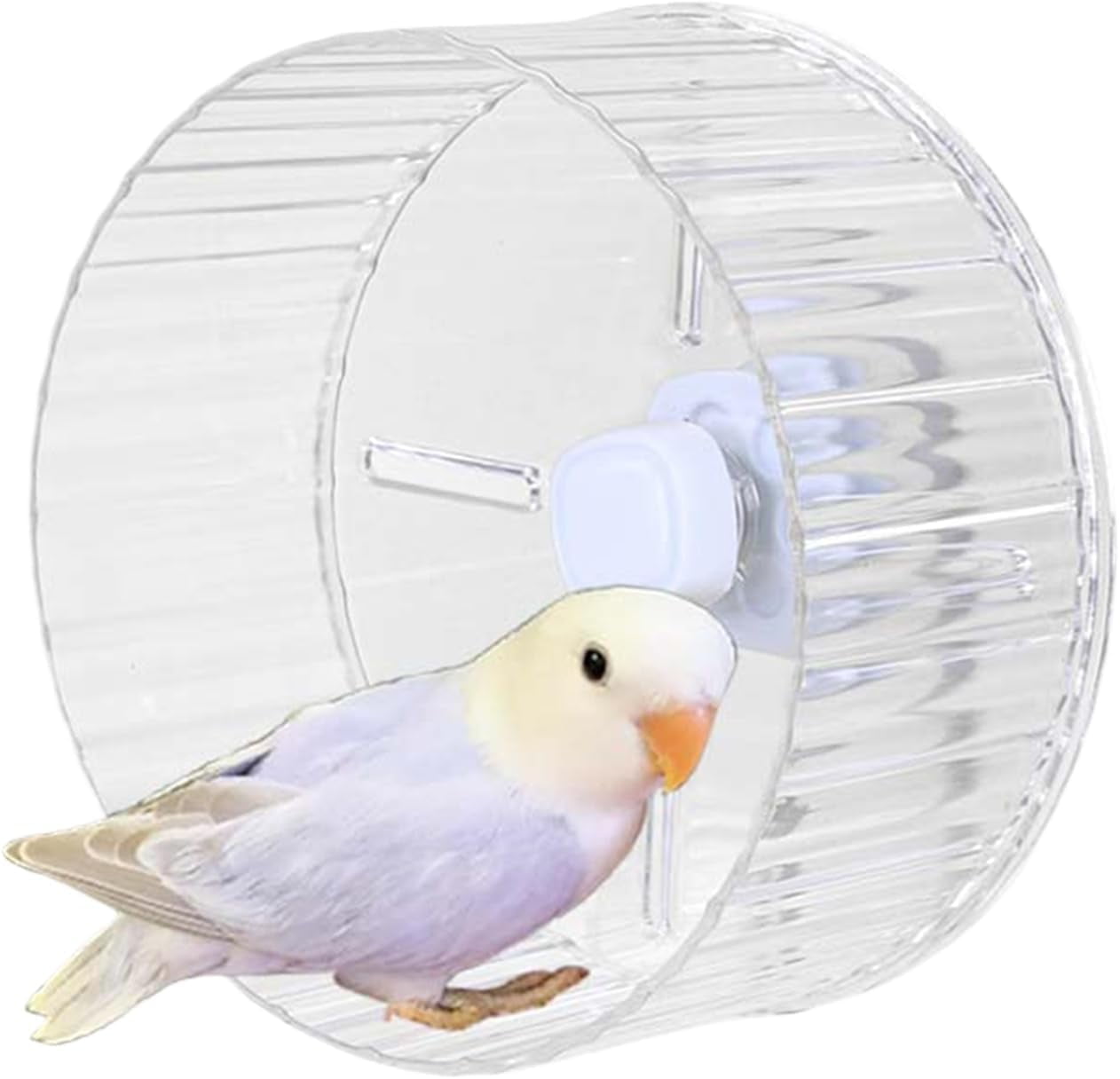 GYTY Bird Wheel Toy, Silent Parrot Exercise Wheel Interactive Rotating Toy for Small Medium Birds - Parakeets Cockatiels Conures Lovebirds Finches - Bird Cage Enrichment Accessory (S (6.7''D),Clear)