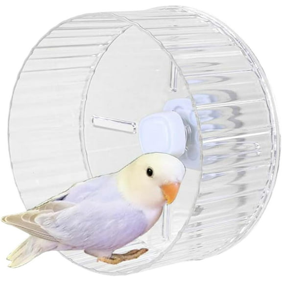 GYTY Bird Wheel Toy, Silent Parrot Exercise Wheel Interactive Rotating Toy for Small Medium Birds - Parakeets Cockatiels Conures Lovebirds Finches - Bird Cage Enrichment Accessory (S (6.7''D),Clear)