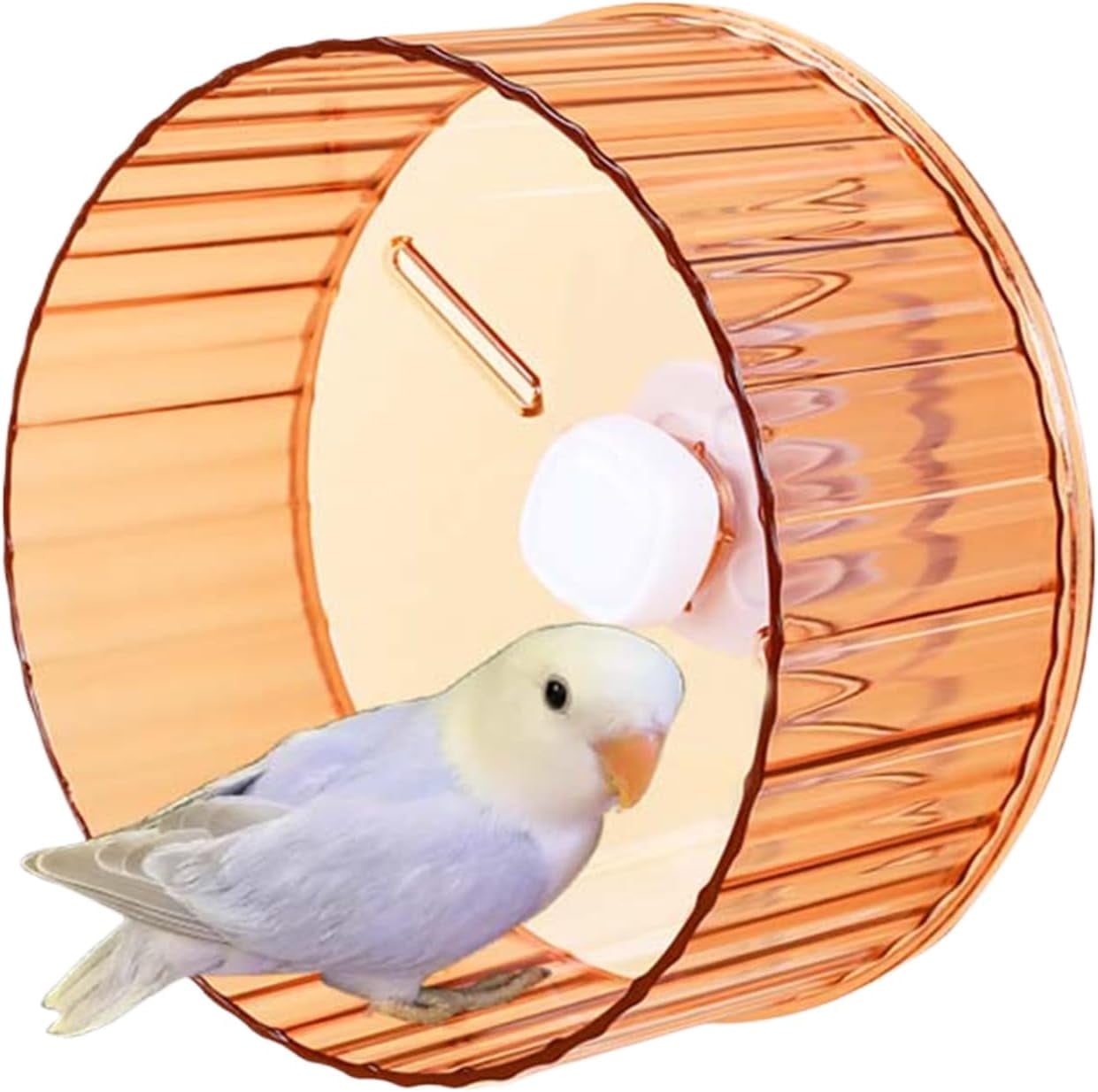 GYTY Bird Wheel Toy, Silent Parrot Exercise Wheel Interactive Rotating Toy for Small Medium Birds - Parakeets Cockatiels Conures Lovebirds Finches - Bird Cage Enrichment Accessory (S (6.7''D),Clear)
