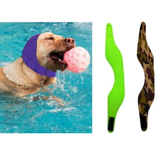 Dog swim cap outlet