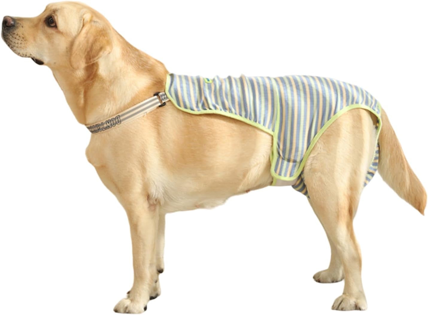 GYTY Female Dog Diapers with Adjustable Suspenders Reusable Cotton Physiological Panties Jumpsuit for Medium to Large Dogs in Heat or Experiencing Menstrual Incontinence (Yellow,Medium)