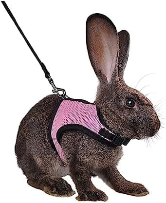 GYTY Rabbit Harness and Leash Set - Adjustable Escape-Proof Training ...