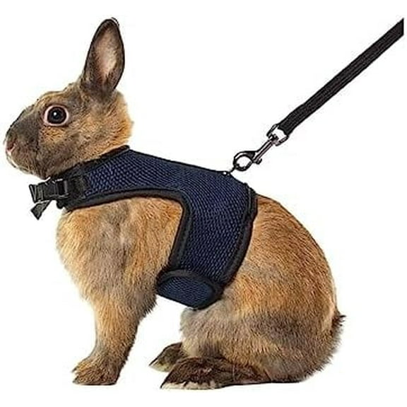 GYTY   Rabbit Harness and Leash Set - Adjustable Escape-Proof Training and Walking Gear for Guinea Pigs Bunnies Chinchillas Hamsters Ferrets Rats Kittens and Small Dogs Puppies Cats (Black,L)