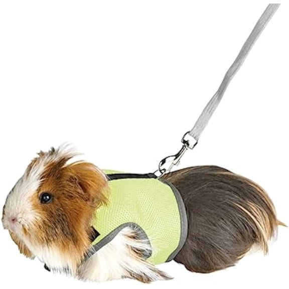 GYTY   Rabbit Harness and Leash Set - Adjustable Escape-Proof Training and Walking Gear for Guinea Pigs Bunnies Chinchillas Hamsters Ferrets Rats Kittens and Small Dogs Puppies Cats (Black,L)