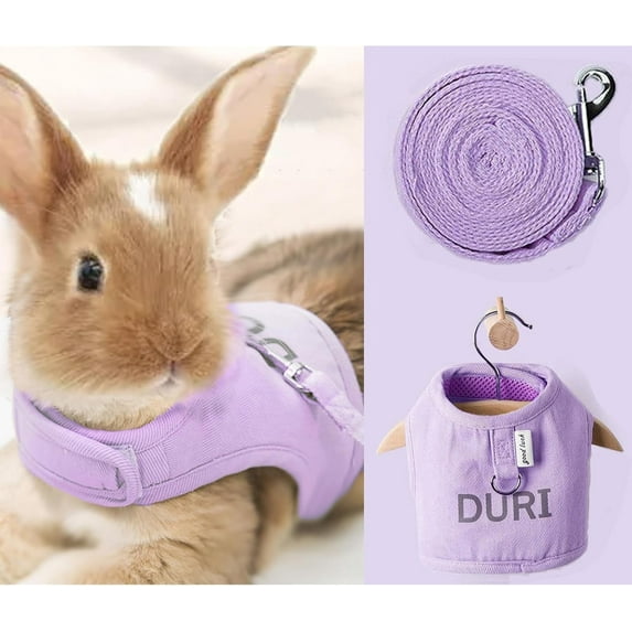 GYTY Rabbit Harness Leash Set Escape Proof Walking Gear Adjustable Reflective Letter Print Pet Vest for Bunny Dog Kitten Cat Ferret Small Animals (Small,Green)
