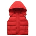 thumbnail image 1 of Gyujnb Boys Down Vest Winter Warm Insulated Padded Sleeveless Jacket with Hood for Kids Outdoor Activities,Size:13-14 Years, 1 of 4