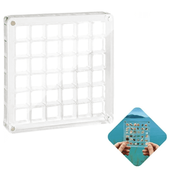 GYWHOOFT Acrylic Magnetic Seashell Display Box, Transparent Acrylic Display Case Seashell Storage Box, Acrylic Boxes for Display Craft Organizers Container for Seashell, Bead, Earring (36 Grids)
