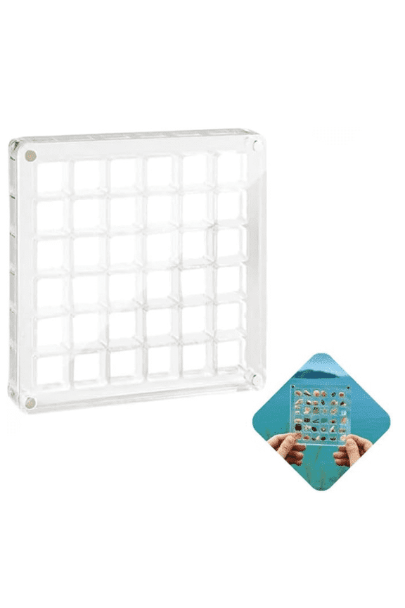Acrylic Magnetic Seashell Display Box, Transparent Acrylic Display Case Seashell Storage Box, Acrylic Boxes for Display Craft Organizers Container for Seashell, Bead, Earring (36 Grids)