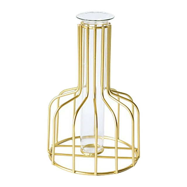 GZHCGSM Iron Dried Flowers Transparent Glass Creative Hydroponic Test