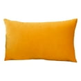 GZHCGSM Spring Pillow Covers Super Soft Rectangular Velvet Pillowcase