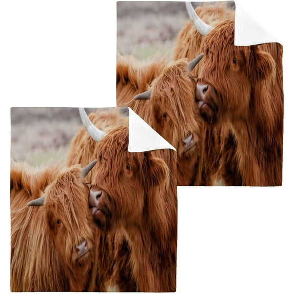 GZHJMY 12x12Inx2 Sets Reusable Soft Face Towel,Kitchen Hand Towel Bathroom Absorbent Towel,Gym Hotel Spa- Scottish Highland Cattle