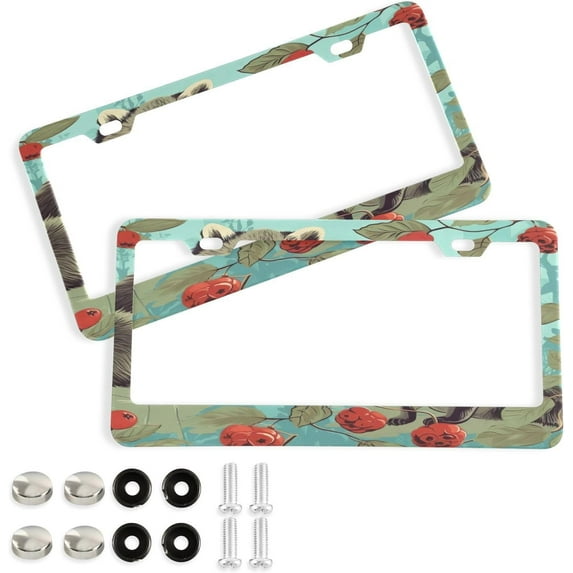 GZHJMY 2 Pcs License Plate Frame Cute Raccoon License Plate Cover Universal Aluminum US Car Tag Frame with 2 Holes and Screws for Front & Back License Plate Decorative