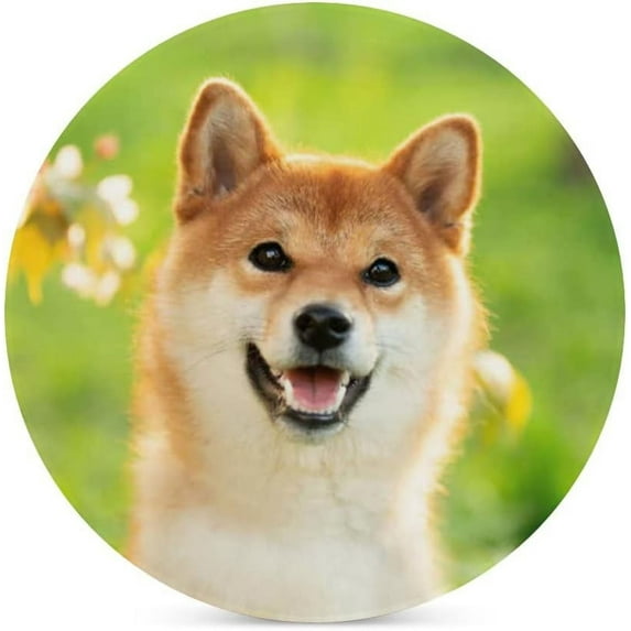 GZHJMY 2Pcs Round Portrait of Happy Shiba Inu Dog Sitting in Summer Ceramic Coasters with Cork-Backed for Coffee Drink, Cup Mat Absorbent Stone Coasters