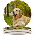 thumbnail image 1 of GZHJMY 4Pcs Round Cute Golden Retriever Sitting in The Outside Ceramic Coasters with Cork-Backed for Coffee Drink, Cup Mat Absorbent Stone Coasters, 1 of 5