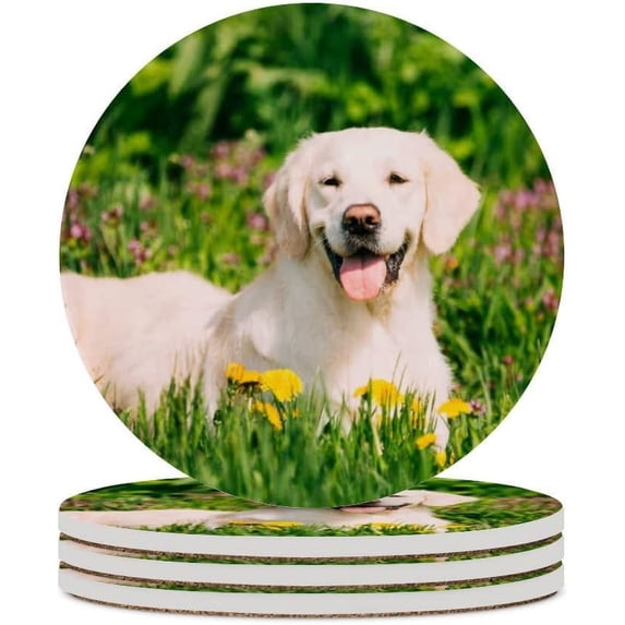 GZHJMY 6Pcs Round Happy Labrador Retriever Sitting in Dandelions Field Ceramic Coasters with Cork-Backed for Coffee Drink, Cup Mat Absorbent Stone Coasters