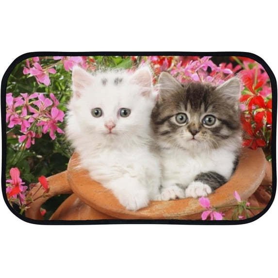 GZHJMY Bathroom Rugs Mats Non-Slip, Soft Microfiber Absorbent Bath Mats for Shower Bathtubs, Cute Cats in Garden Indoor Entrance Door Mats Bedroom Laundry 36”x24” Carpet Runner
