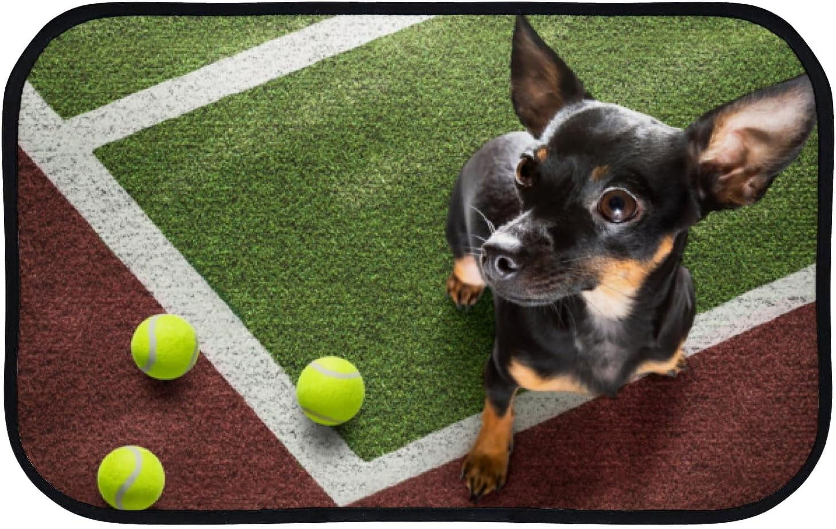 GZHJMY Bathroom Rugs Mats NonSlip, Soft Microfiber Absorbent Bath Mats