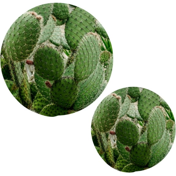 GZHJMY Cactus Prickly Pear Cacti Plant Pot Holders Trivets Set of 2 Round Cotton Thread Weave Potholders for Kitchens Hot Pads Table Mats Coasters for Hot Dishes