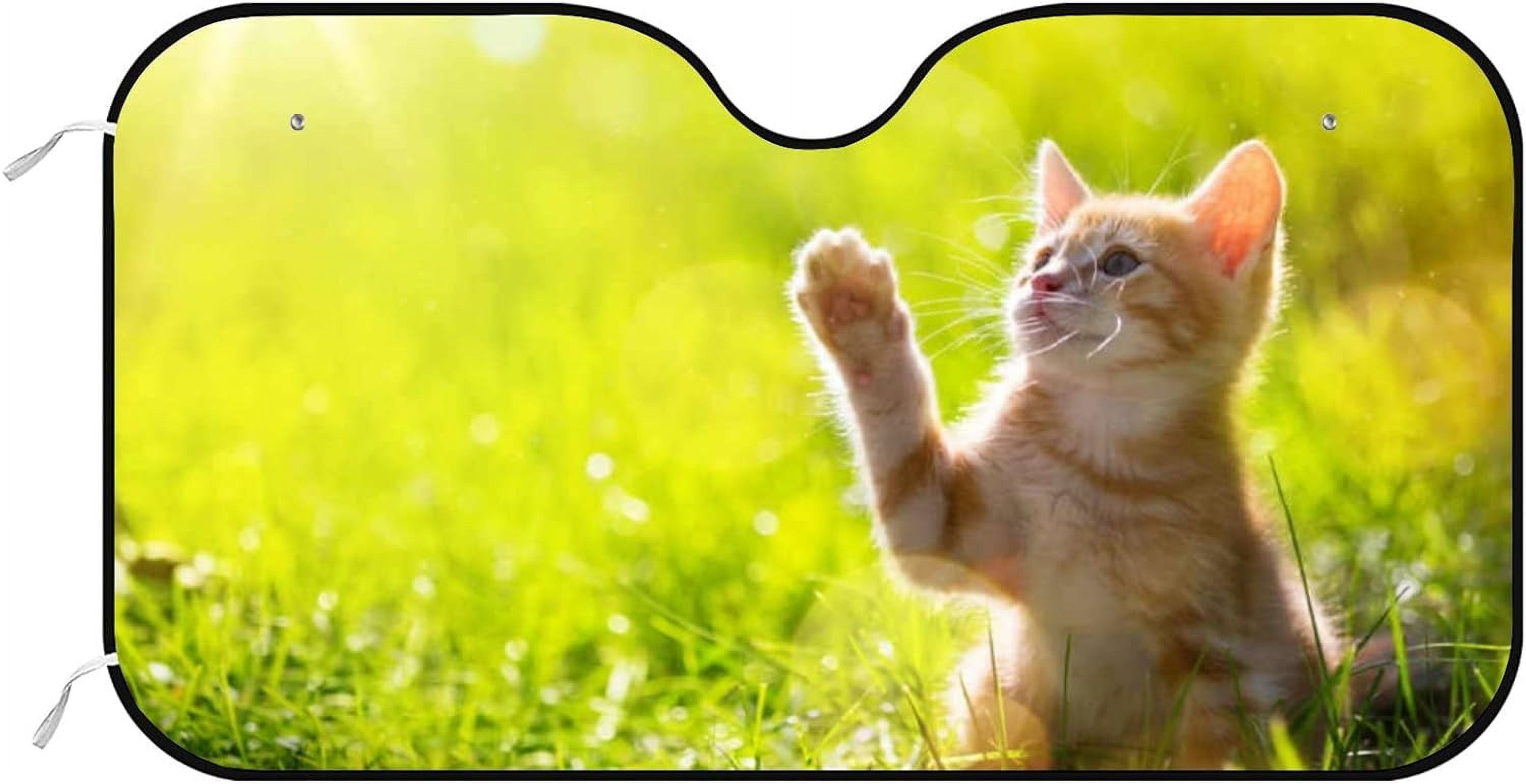 GZHJMY Car Front Windshield Sunshade UV Heat Protection, Foldable Auto